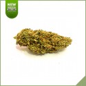 Fleurs de cannabis CBD SFTB Green Lemon Skunk