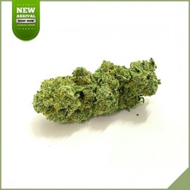 Fleurs de cannabis CBD SFTB White Berry Haze