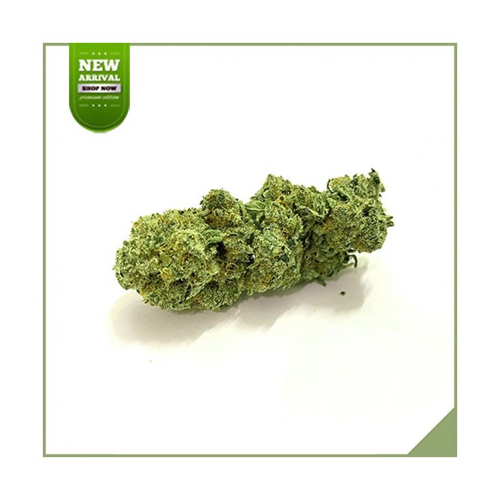 Cannabis Fiori CBD SFTB White Berry Haze Cannabis Fiori CBD SFTB White Berry Haze