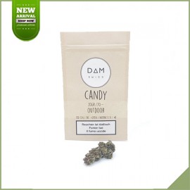 Fleurs de cannabis CBD Dam Swiss Candy