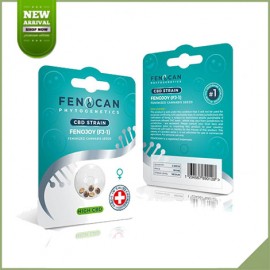 3 Semi di cannabis fenojoy femminizzati cbd