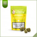 Cannabis Blumen CBD Schweizer Botanischer Schweizer Käse