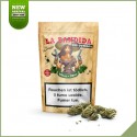 Fleurs cbd outdoor Swiss Botanic Bandida