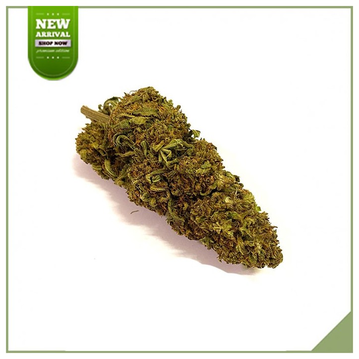 Fiori cbd serra SFTB Mojito Fiori cbd serra SFTB Mojito