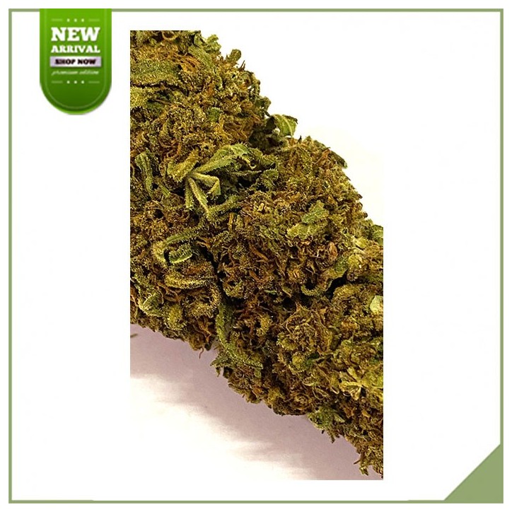 Fleurs cbd greenhouse SFTB Mojito Fleurs cbd greenhouse SFTB Mojito