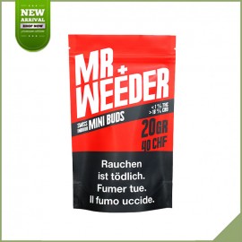 Blumen cbd greenhouse SFTB Mojito