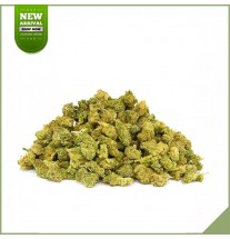 Cannabis Blumen CBD Schweizer Botanische kritische Sensi Stern