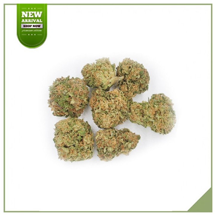 Fiori cbd serra - L'insalata Ed Rosenthal Fiori cbd serra - L'insalata Ed Rosenthal