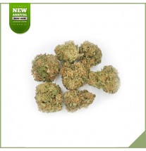 Blumen cbd indoor SFTB - Fenoqueen