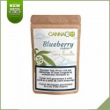 Indoor CBD Blüten - Cannago Blueberry