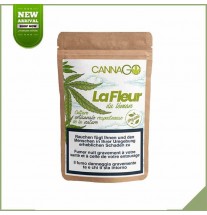 Fiori CBD indoor - La mia azienda in crescita Super Lemon Haze