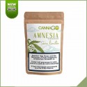 Indoor CBD Blüten - Cannago Amnesie