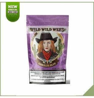 Fiori da esterno CBD - Wild Wild West - Colla Gorilla