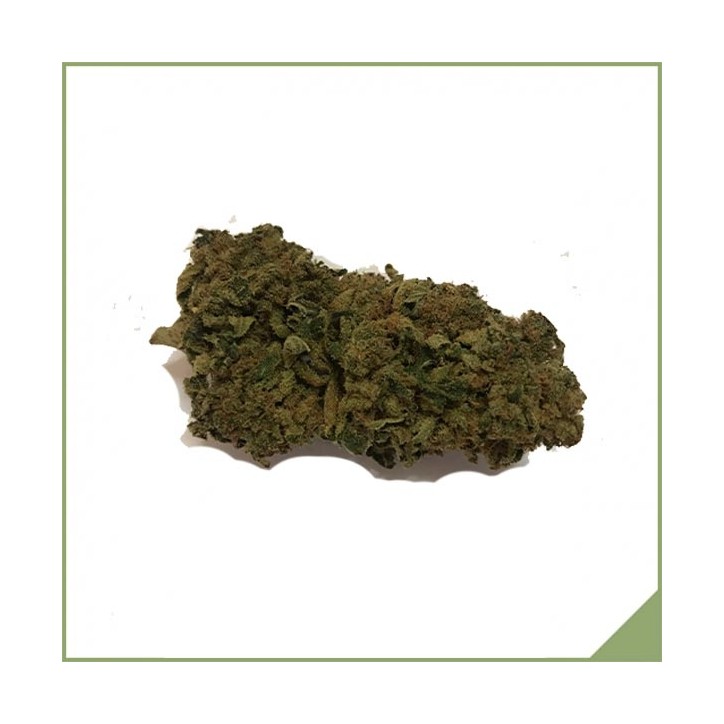 KDC Bio Zitrone Skunk CBD Blüten KDC Bio Zitrone Skunk CBD Blüten
