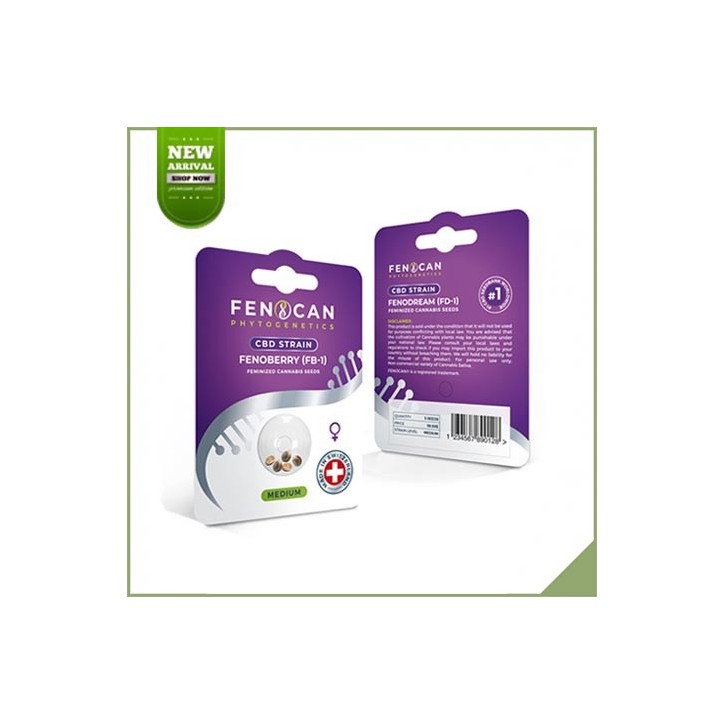3 Feminisierte Cannabis-Samen CBD Fenoberry 3 Feminisierte Cannabis-Samen CBD Fenoberry