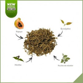 Greengo substitut de tabac naturel