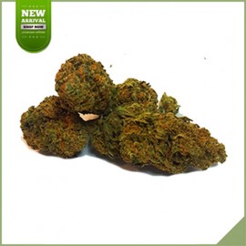 Fleurs de cannabis CBD Starbuds Amnesia
