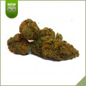 Fleurs de cannabis CBD Starbuds Amnesia