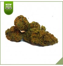 Fiori di Cannabis CBD Botanica Svizzera Purple Haze