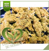Huile de cannabis CBD 3% Hemplix Noix de coco 10 ml pour animaux