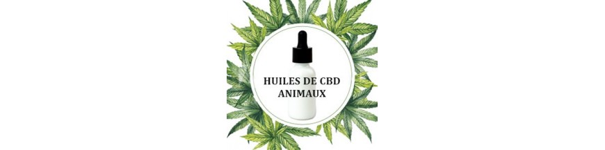 Huile cbd pour animaux | soulage votre animal naturellement