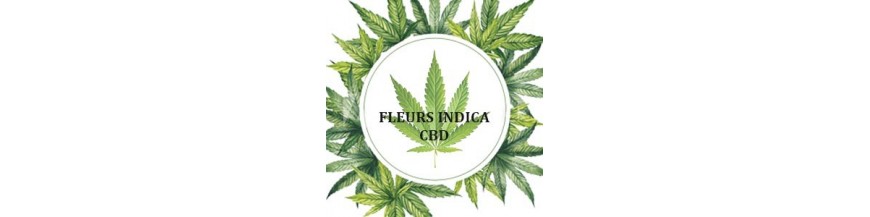 Les fleurs de cannabis CBD à dominance Indica - CBD Suisse