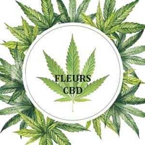 Fleurs CBD