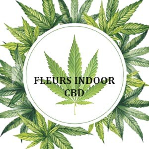 Fiori CBD indoor