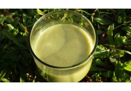 Milch herstellen mit CBD Cannabis