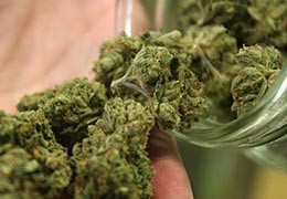 Comment conserver son cannabis ?