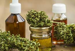 Huile de CBD ? connaître ses avantages