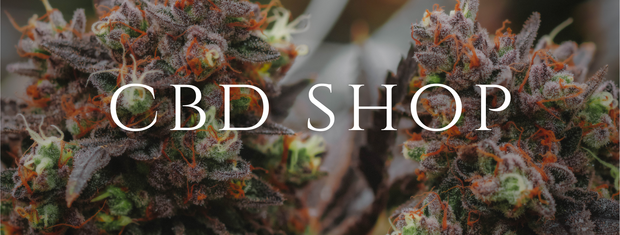 CBD SHOP