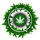 Derivati cbd 